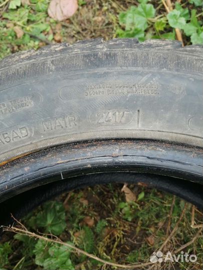 Sava Eskimo Ice 185/65 R15 88T