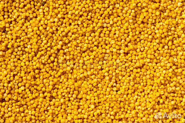 Зерно просо желтое 40 кг, доставка