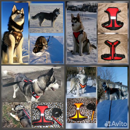 Ездовые, прогулочные, унив-ые, грузовые шлейки