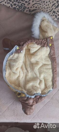 Костюм для собаки