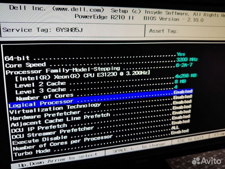 Dell PowerEdge R210 II