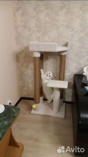 Когтеточки от 52см до 200см