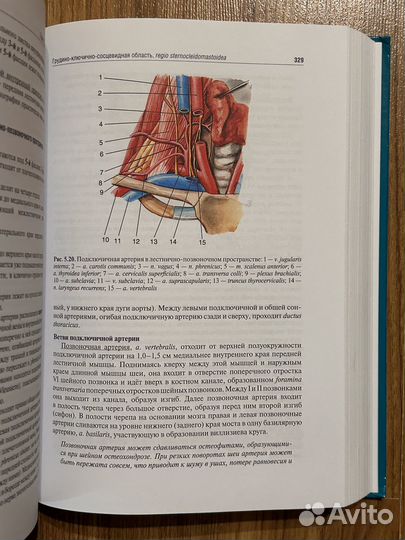 Топографическая анатомия Николаев