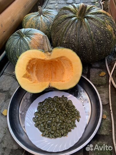 Тыква Голосеменная и Мускатная