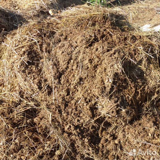 Конский навоз