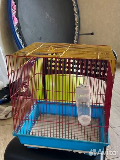 Клетка для крыс