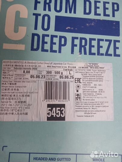 Сельдь, скумбрия