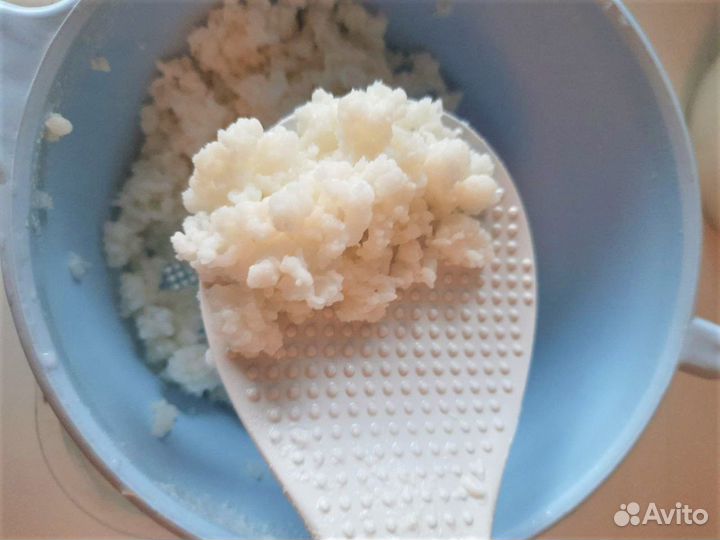 Кефирный гриб/тибетский молочный гриб