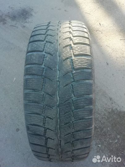 Cordiant Polar SL 205/55 R16