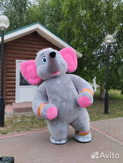 Поздравление Белый Мишка Чебу Ростовые куклы