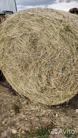 Сено