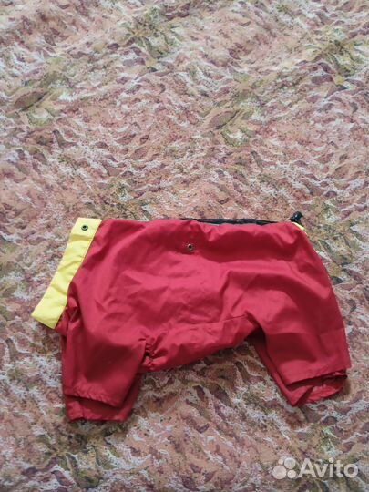 Одежда для маленькой собачки