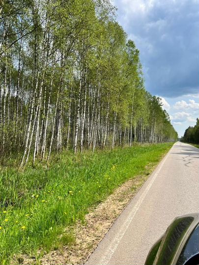 Участок 15 сот. (ИЖС)