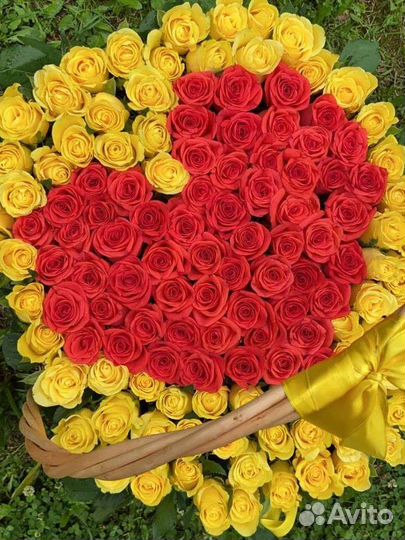 101 роза в корзине