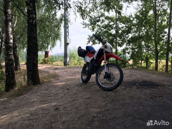 Ирбис ттр 250