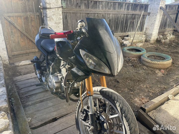 Cronus golden eagl 250