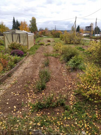 Участок 4 сот. (СНТ, ДНП)