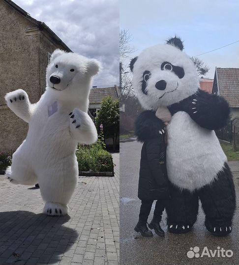 Поздравление от Белого Мишки. Медведь аниматор