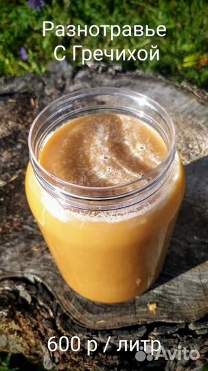 Мед алтайский