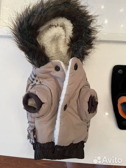 Куртка доя мини той-терьера