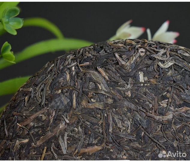 Шен пуэр Старый товарищ Хайвань 2013