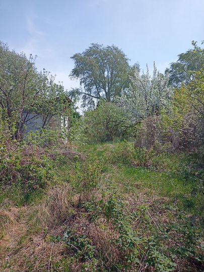 Дача 20 м² на участке 5 сот.