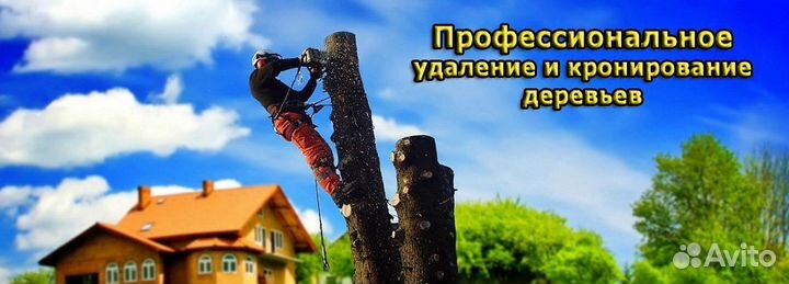 Спил аварийных деревьев