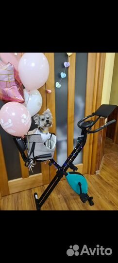 Велотренажёр Kitfort