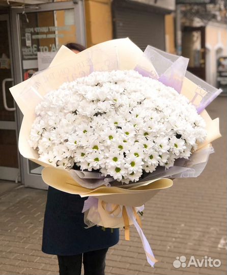 Хризантемы большой букет на доставку