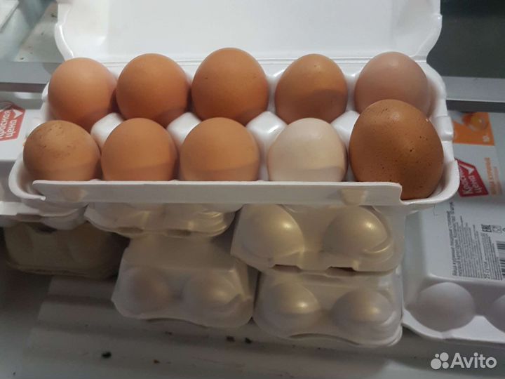 Домашние куриные яйца