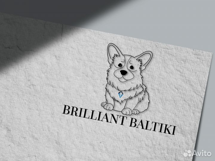 Графический дизайн, дизайн полиграфии, логотип