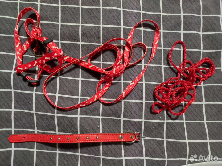 Одежда для собак. Плавки. Ошейник