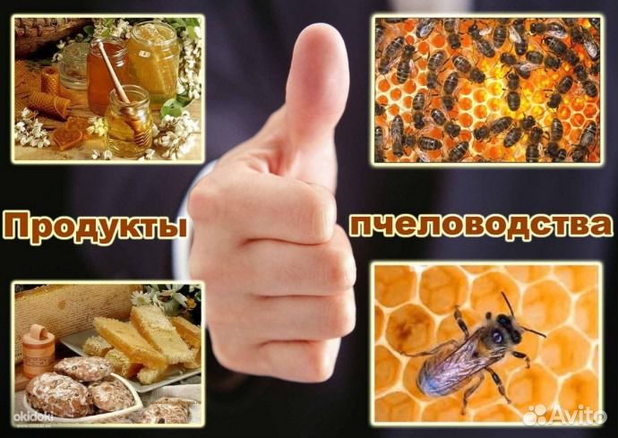 Продукты пчеловодства
