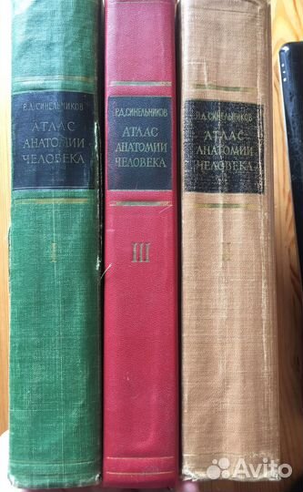 Атлас анатомии Синельникова три тома