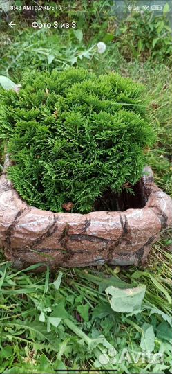 Бетонный вазон 