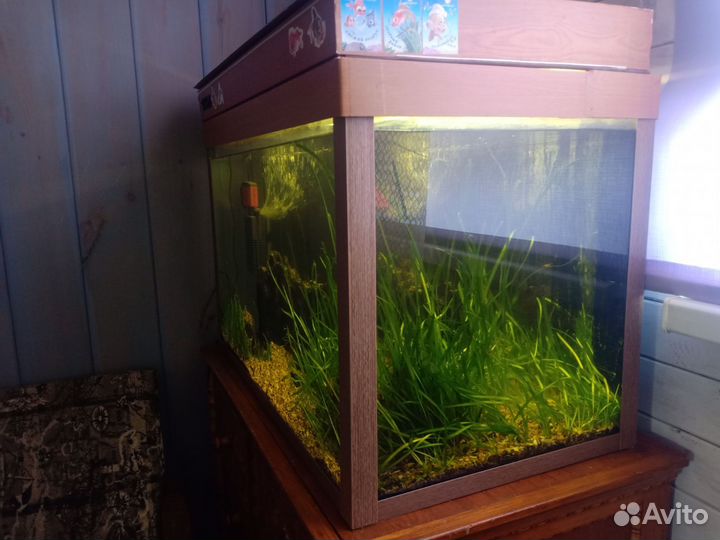 Аквариум 130 литров