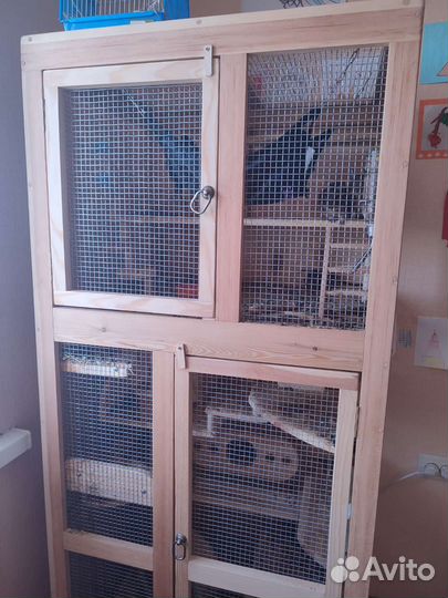 Клетка дегу