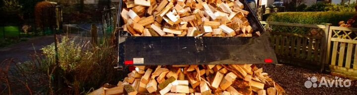 Дрова осина