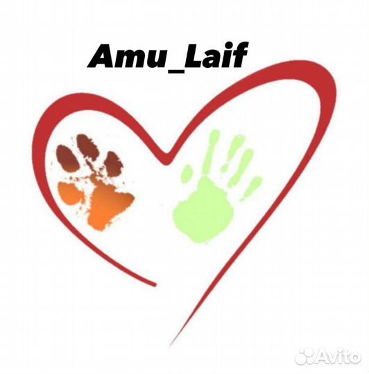 Ошейники для собака под заказ