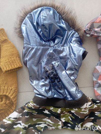 Одежда для маленьких собак