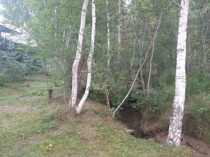 Участок 6 сот. (СНТ, ДНП)