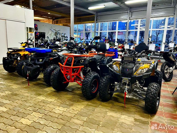 Квадроцикл Avantis в наличии в рассрочку