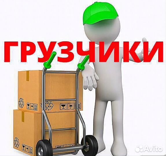 Грузчик/разнорабочий