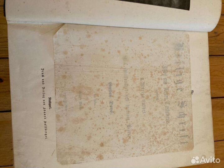 Бибиблия на немецком 2 тома