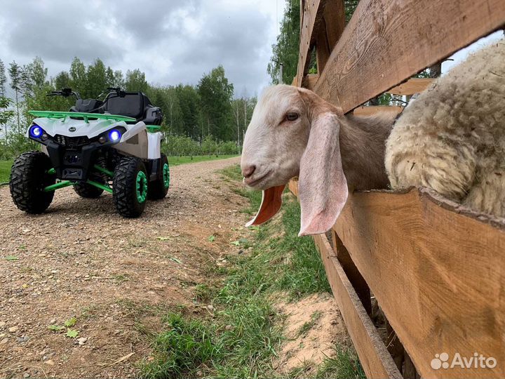 Квадроциклы, электротрайки, сапы, катер и т.д
