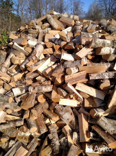 Дрова береза