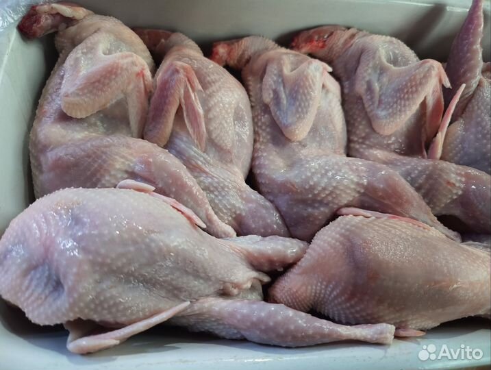 Яйца,перепела копчёные и свежие