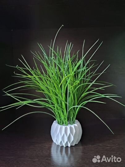 Осока для украшения интерьера, трава, растения