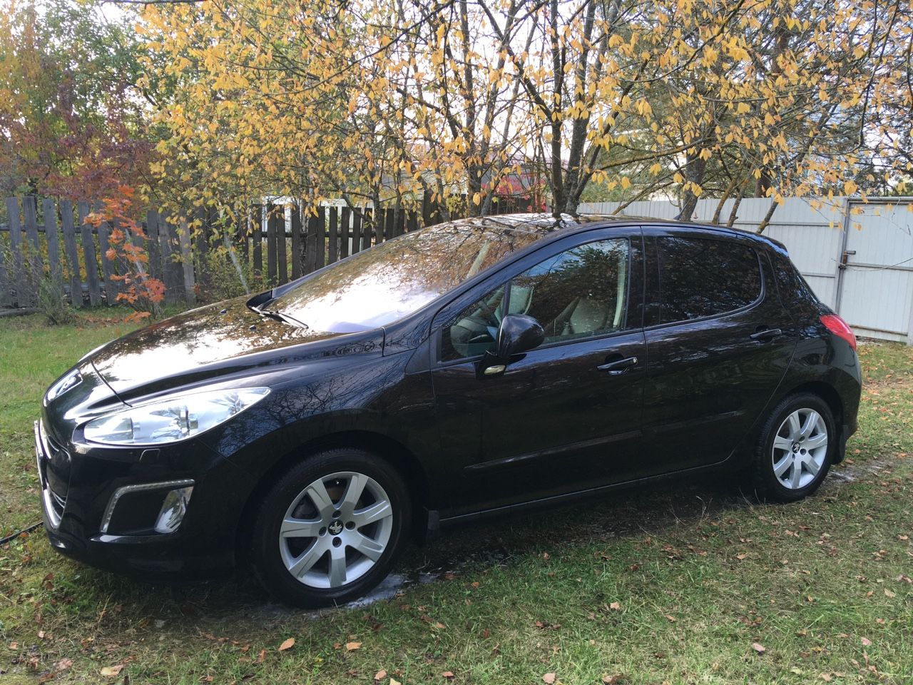 Peugeot 308: фото владельца