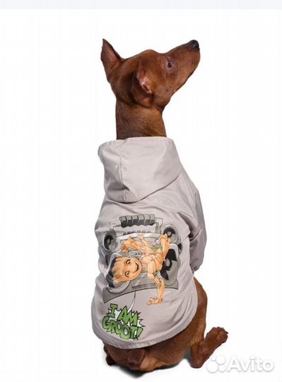 Дождевик для собаки